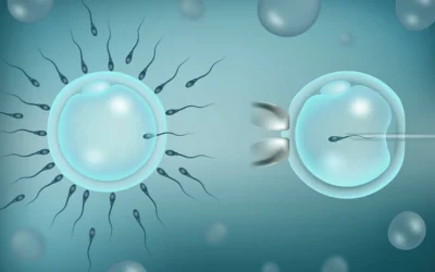 الفرق بين التلقيح الصناعي والحقن المجهري | أيهما الأنسب؟