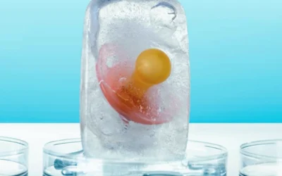 الفرق بين تجميد البويضات والأجنة