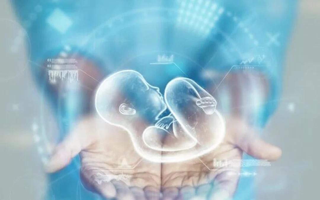 فحص الأجنة قبل الإرجاع | دليل شامل